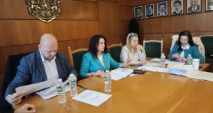 Започна публичният търг за отдаване под наем на 24-те дървени къщички в Коледното градче на Плевен