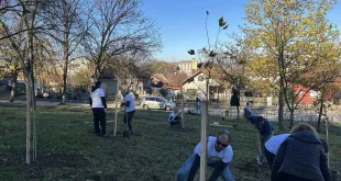 „Обединени за по-добро бъдеще“: 40 фиданки засадиха в Червен бряг