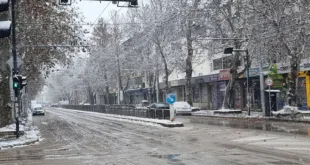 Улиците в Плевен и общината са проходими при зимни условия