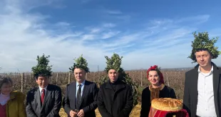 С тържествен ритуал по зарязване на лозята Институтът по лозарство и винарство – Плевен отбеляза празника на лозаря (СНИМКИ)