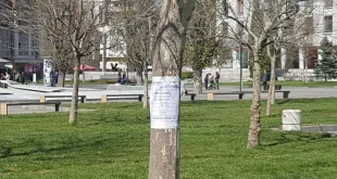 Започва първата за годината обработка срещу кърлежи и бълхи