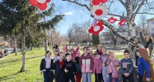 Централната градска част на Плевен грее в червено и бяло (СНИМКИ)