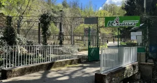 На 1 юни: Плевенският зоопарк в „Кайлъка“ ще бъде с безплатен вход за децата